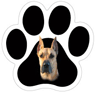 Great Dane thumbnail