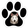 Husky thumbnail