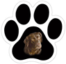 Lab (Chocolate) thumbnail