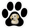Lab (Yellow) thumbnail