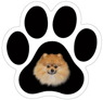 Pomeranian thumbnail