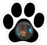 Rottie thumbnail