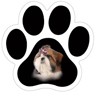 Shih Tzu thumbnail