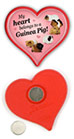 My heart belongs to a Guinea Pig! thumbnail
