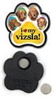 Vizsla thumbnail