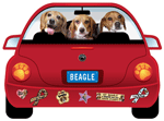 Beagle thumbnail