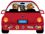 Doxie thumbnail