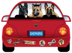 German Shepherd thumbnail