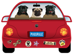 Pug thumbnail