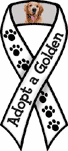 Golden (adopt) thumbnail