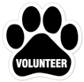 Volunteer thumbnail