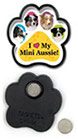 Mini Aussie thumbnail