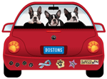 Boston Terrier thumbnail