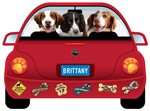Brittany thumbnail