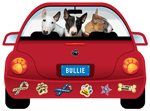 Bull Terrier thumbnail