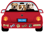 Bulldog thumbnail