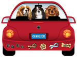 Cavalier thumbnail