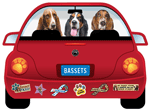 Basset Hound thumbnail