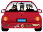 Doberman thumbnail