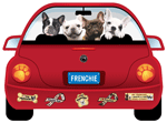 Frenchie thumbnail