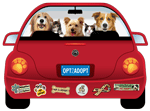 Opt to Adopt thumbnail