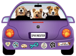Spay Neuter thumbnail