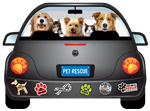 Pet Rescue thumbnail