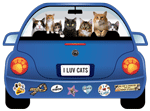 Cat thumbnail