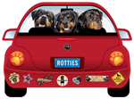 Rottie thumbnail