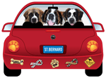 Saint Bernard thumbnail