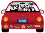 Schnauzer thumbnail
