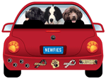 Newfie thumbnail