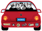 Husky thumbnail