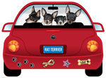 Rat Terrier thumbnail