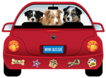 Mini Aussie thumbnail