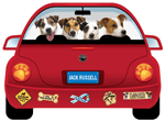 Jack Russell thumbnail