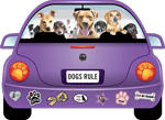 Dogs Rule thumbnail