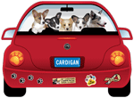 Cardigan thumbnail