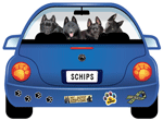 Schip thumbnail