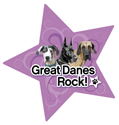 Great Danes Rock thumbnail
