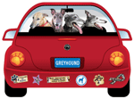 Greyhound thumbnail