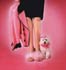 Lady and Bichon thumbnail