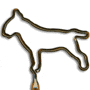 Bull Terrier thumbnail
