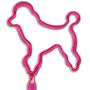 Poodle thumbnail