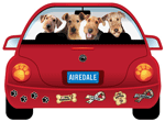 Airedale thumbnail