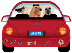 Afghan thumbnail