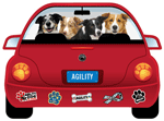 Agility thumbnail