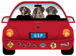 German Shorthair Pointer thumbnail