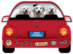 Great Pyrenees thumbnail