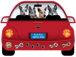 Australian Cattle Dog thumbnail